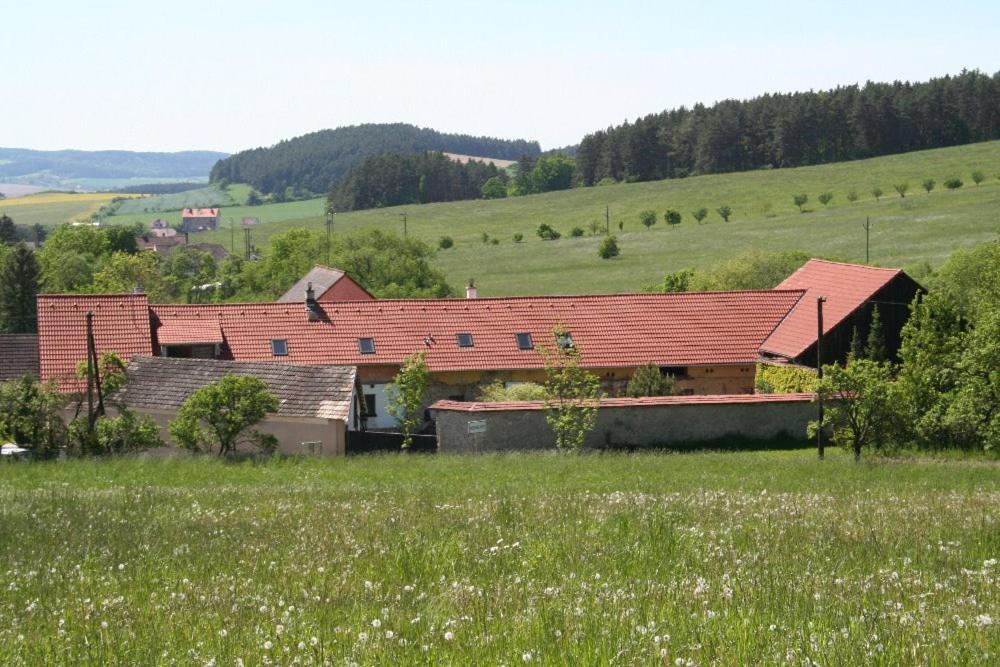 Podkrovi V Jihoceskem Statku Nemejice Luaran gambar